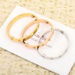 Cartier non-diamond bracelet. 3 colors